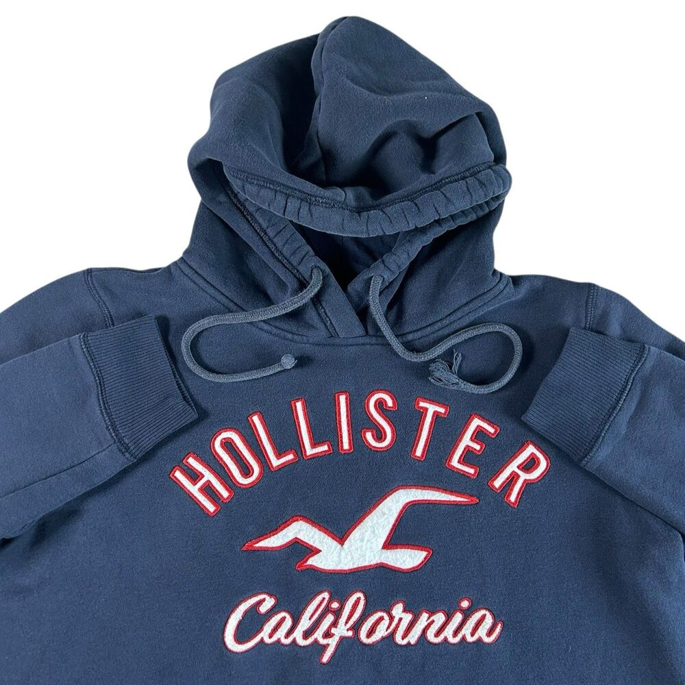 Vintage Hollister California Graphic Hoodie Men’s Large Spell Out Bird Surf Y2K